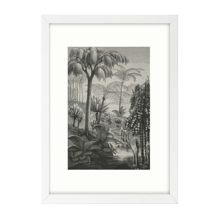 Black and white vintage etching of a swamp forest with a sepia background