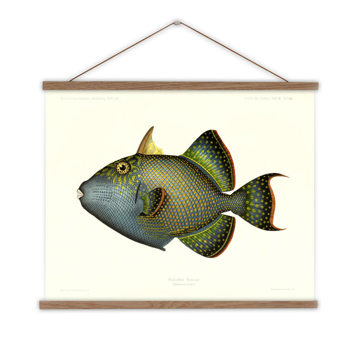 parrot fish wall hanging
