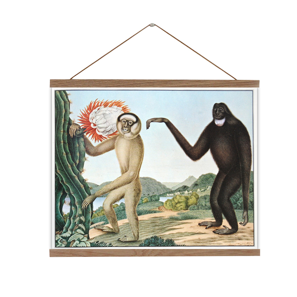 Gibbon's Solitude The Inward World of… Vintage-Canvas-wall-chart-for-