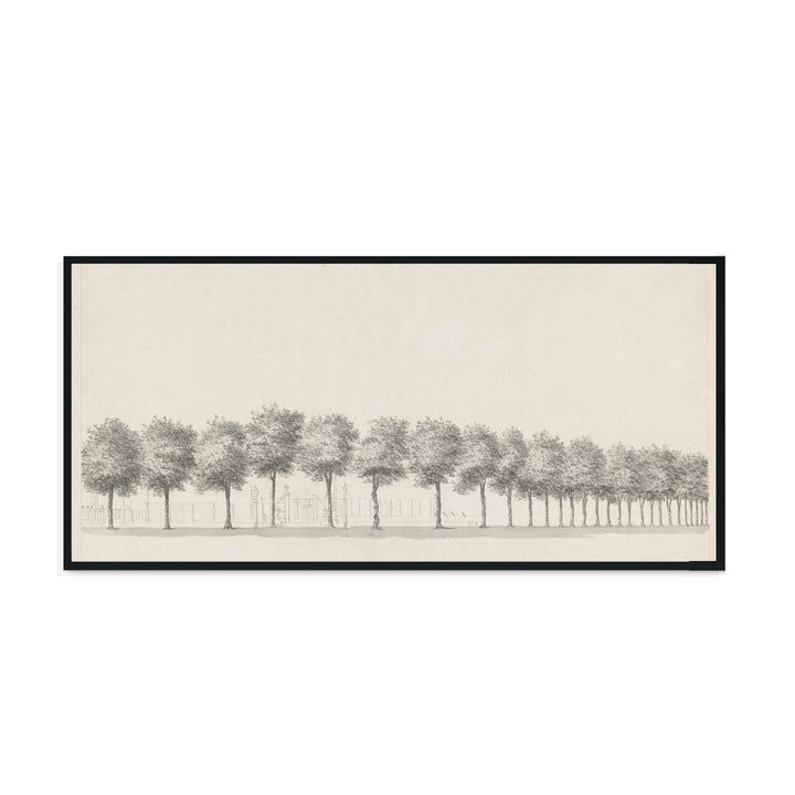 drawing of trees