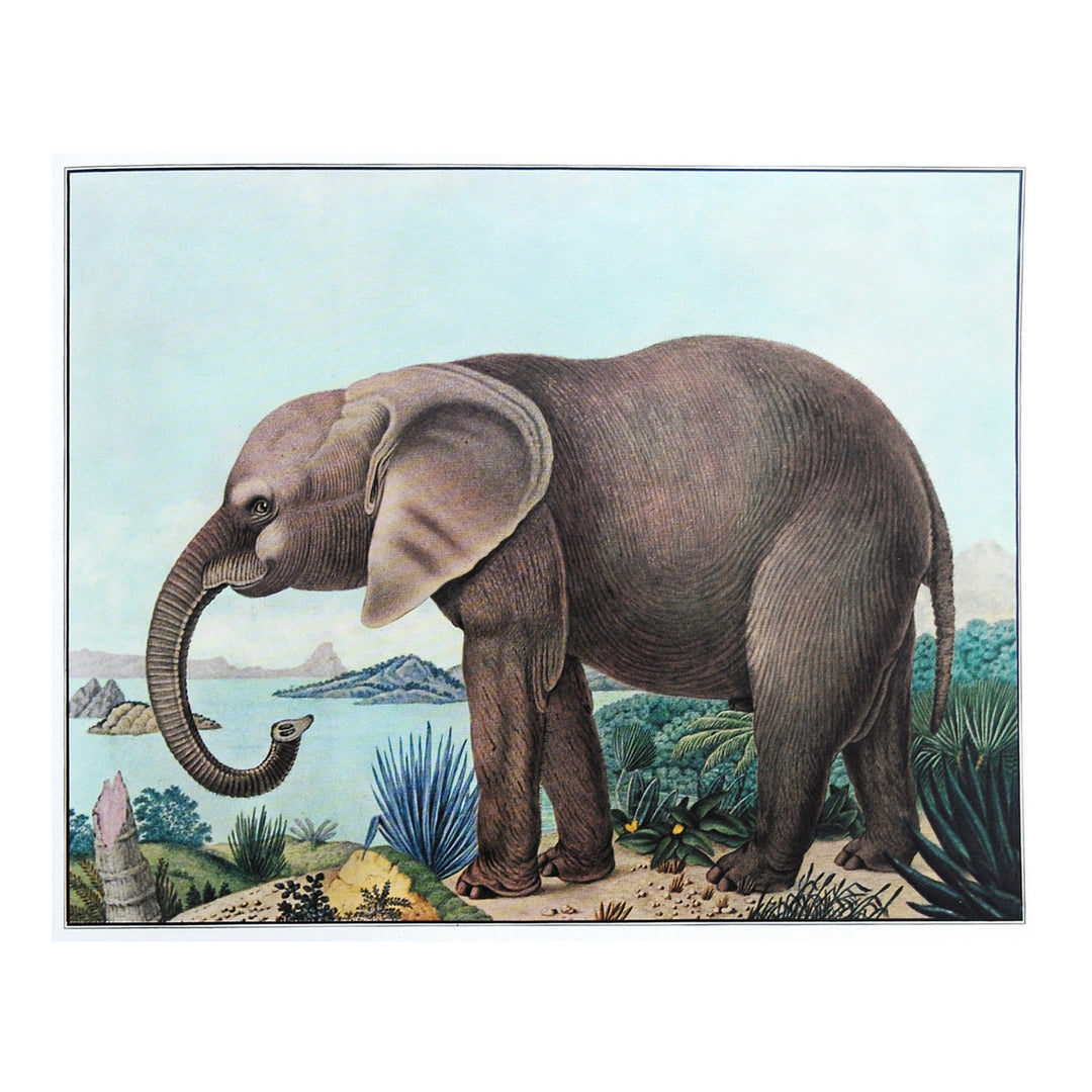 Vintage kids room print elephant