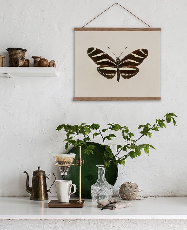 vintage butterfly wall art