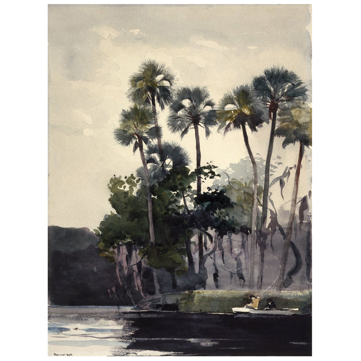 Homosassa River painting by Winslow Homer