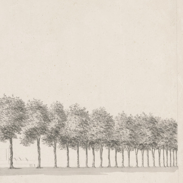 Sketch of trees vintage art